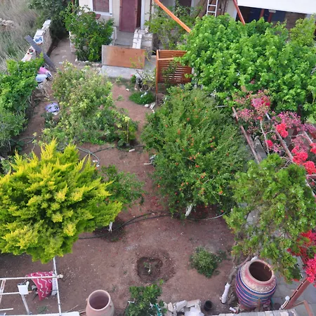 Mata Casa de hóspedes 2*