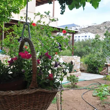 Mata Guest house Chora (Ios)